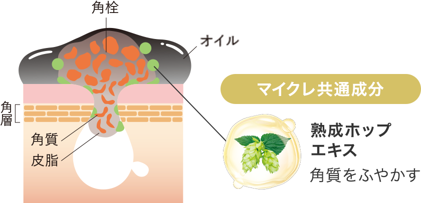 ファンケルクレンジング青と黒の共通成分について解説