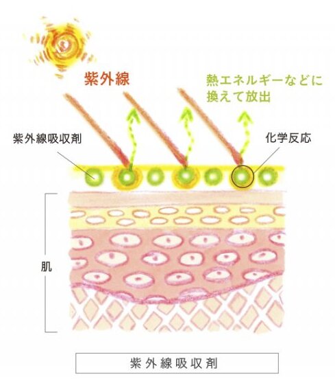 紫外線吸収剤はその名前の通り、紫外線を吸収しエネルギーに変換して肌の吸収を防ぐ働きがあります