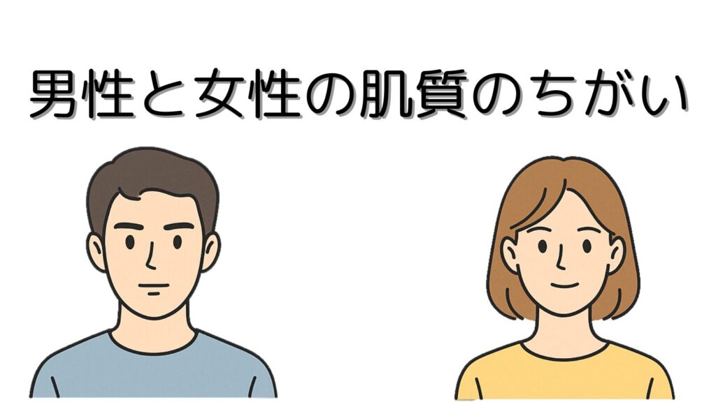 男性と女性の肌質のちがい